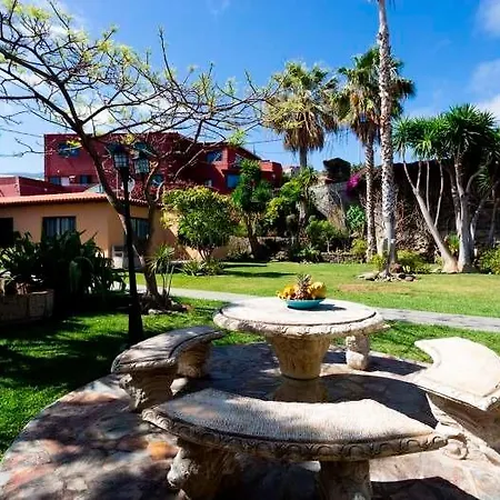 Σπίτι διακοπών Schoner Bungalow Auf Finca - 4045 - #92425 Icod De Los Vinos